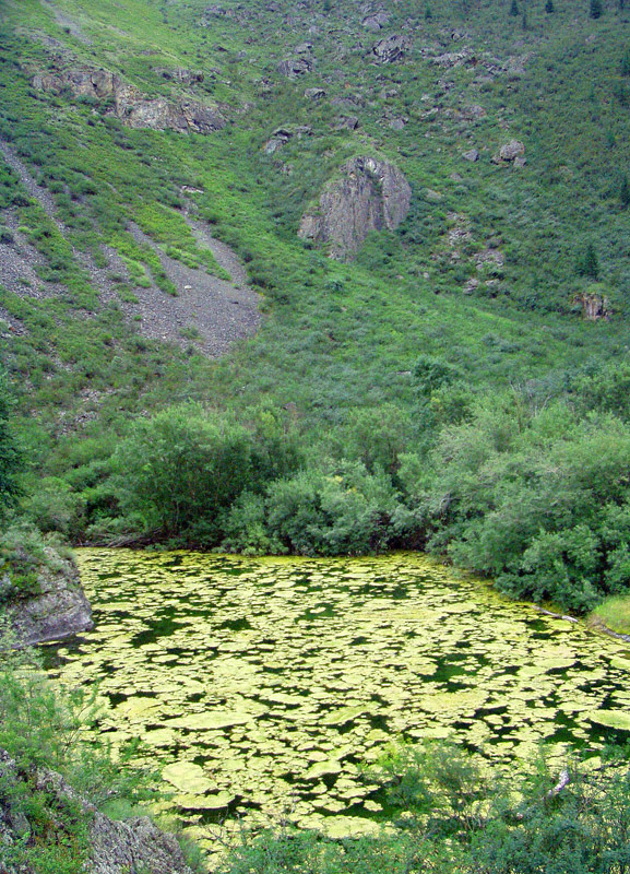 Водопад Элу. Фото Т.Большаковой