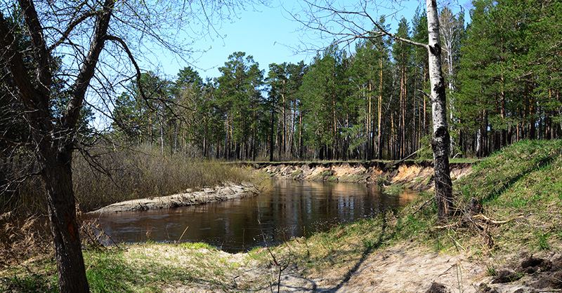 Барнаулка