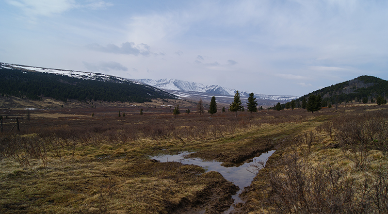 Семинский хребет