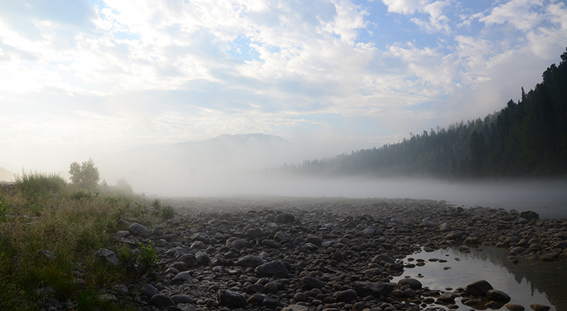 Туман над Бией. Фото А. Гаврилова