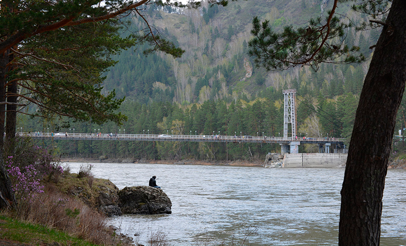Мост через Катунь на Бирюзовой Катуни