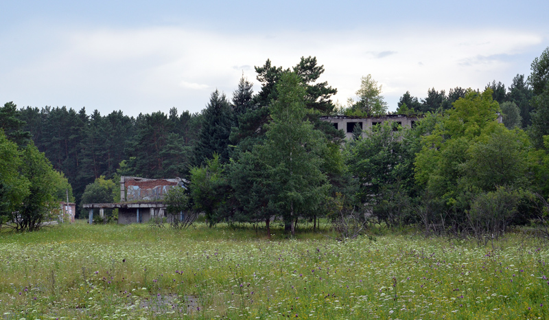 Турбаза Алтай