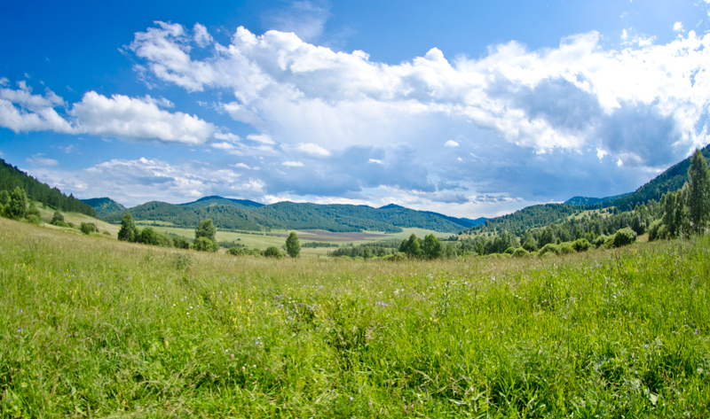 Чергинский тракт