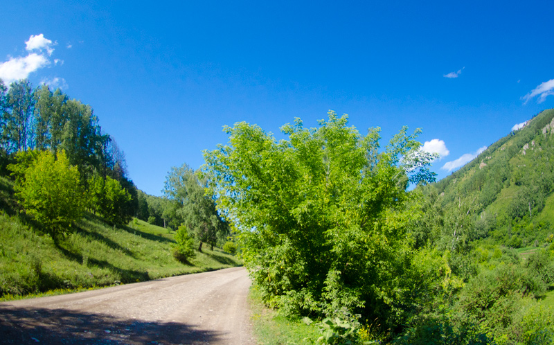 Чергинский тракт. Фото Е. Гаврилова