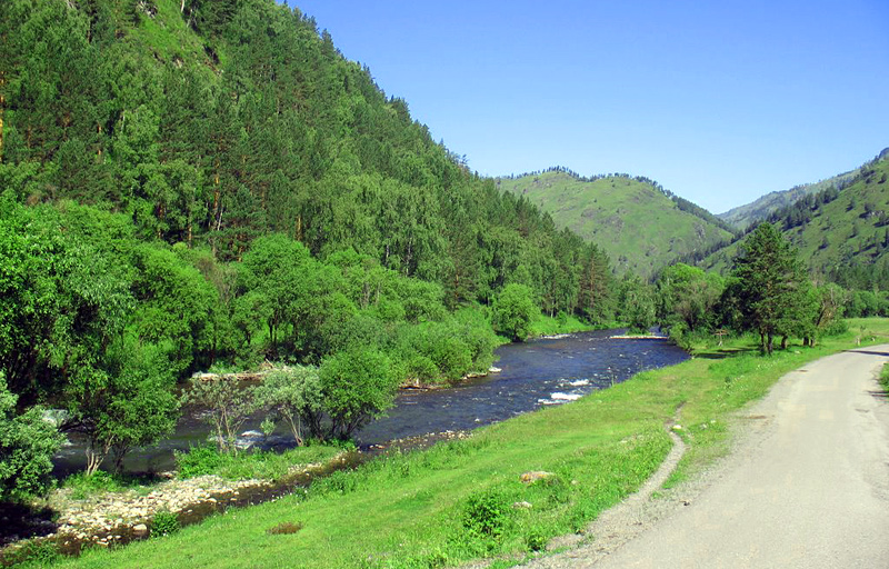 Речка куба. Река Бийка горный Алтай. Речка Куба горный Алтай. Кузлинская Поляна Чемал. Река Бийка Чемальский район.