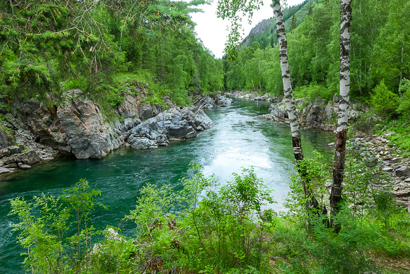 Река Кумир