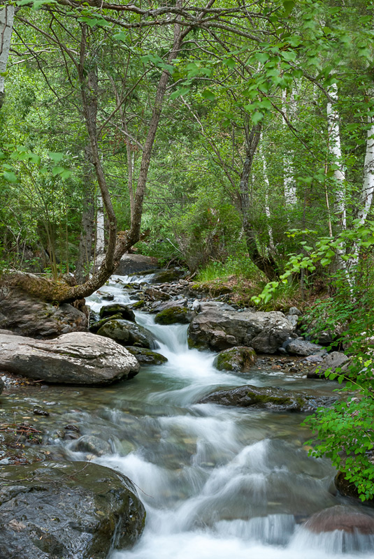 Река Кумир