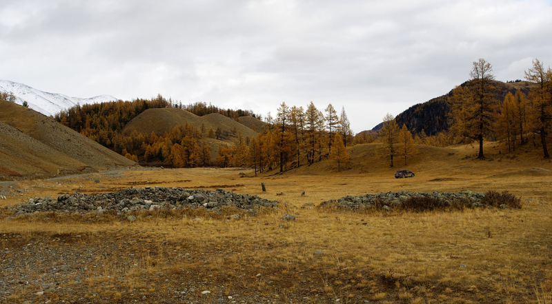 Курганы в степи Самаха