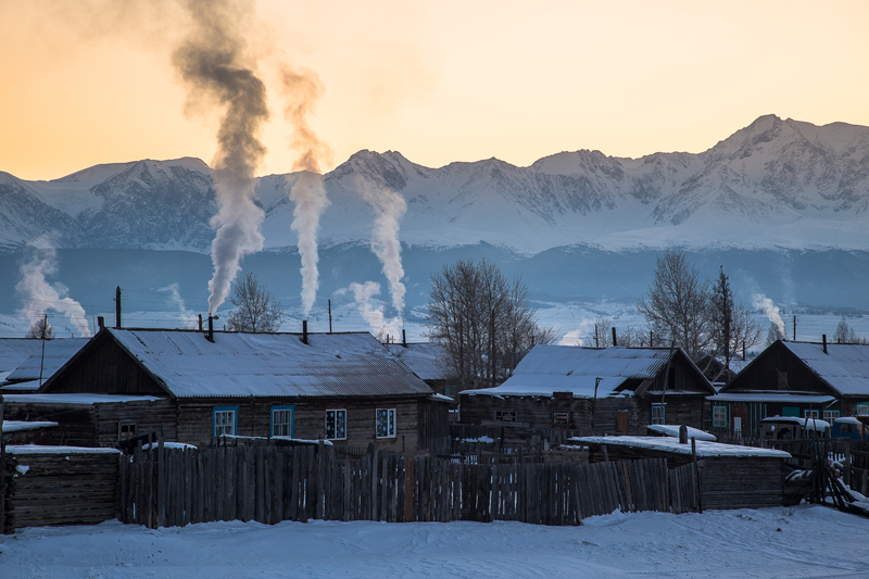 Курай красноярский край