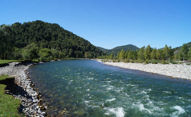 Река Чарыш у села Коргон