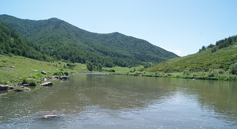 Песчаная Алтай